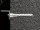 20 TOGGLER Alligator Soild Wall 1/4" Anchors and Screws 50475
